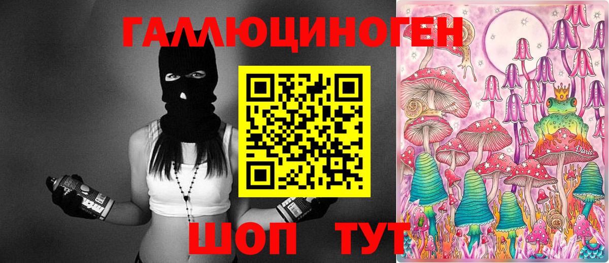 Галлюциногенные грибы Cubensis Кыштым